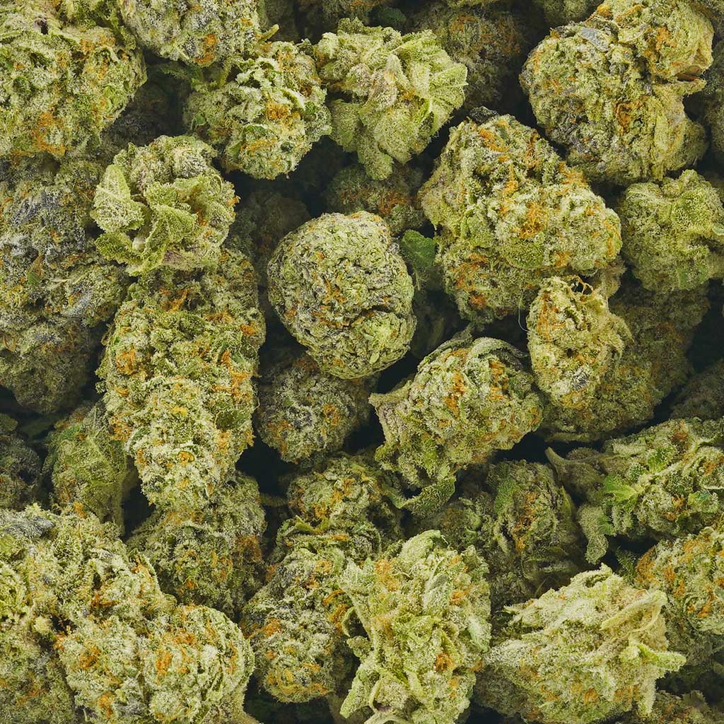 Purple Diesel AAAA MMJ Express