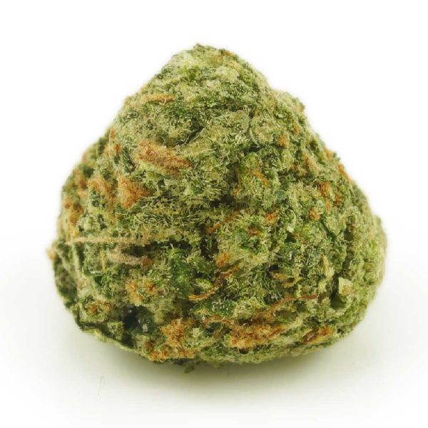 Buy West Coast Diesel AA (Popcorn Nugs) Online MMJ Express