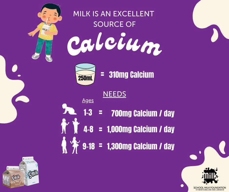 Government makes sure school kids got milk 100.1 BayFM