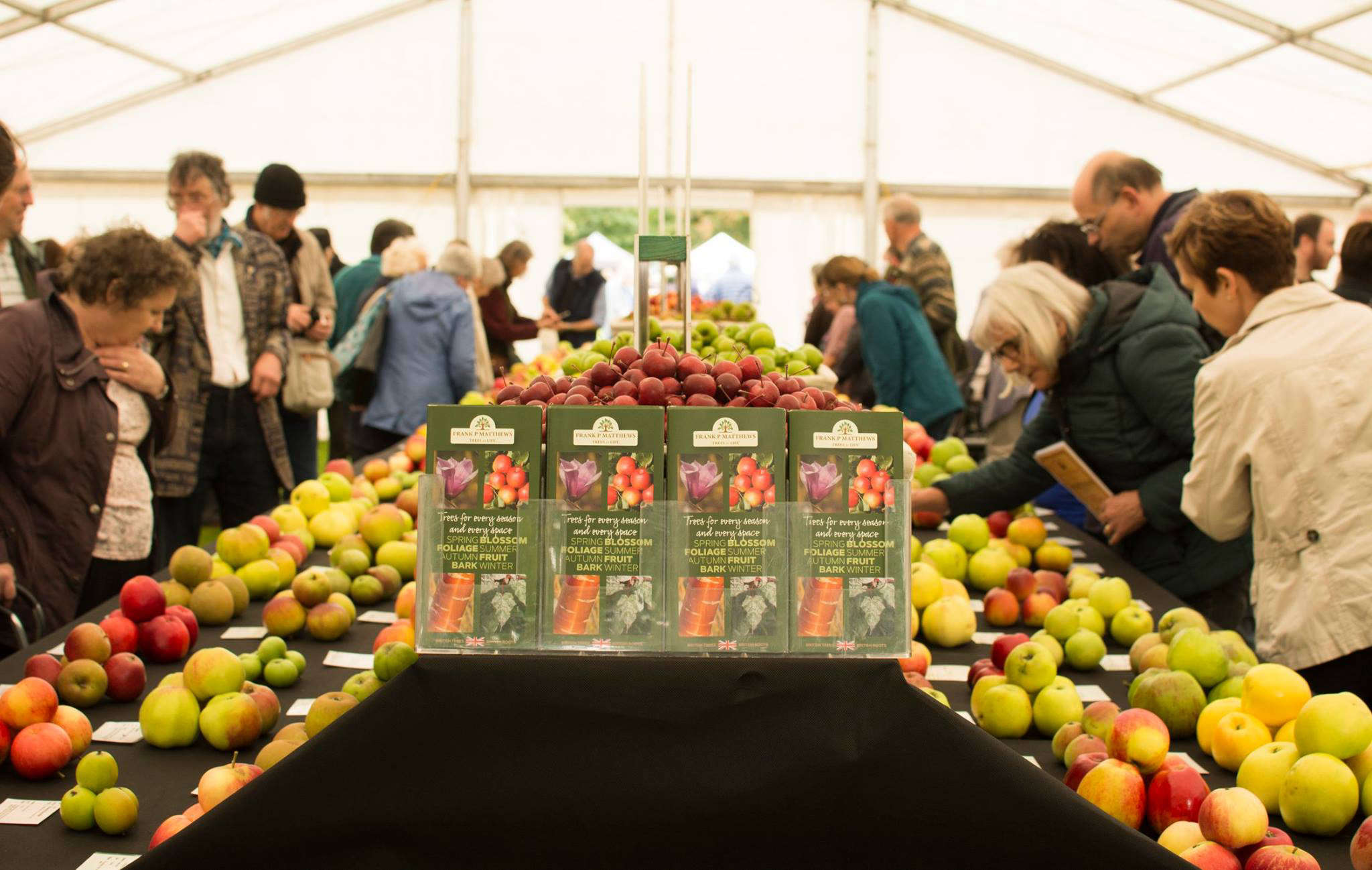 Applefest is back for 2021 Sunshine Radio