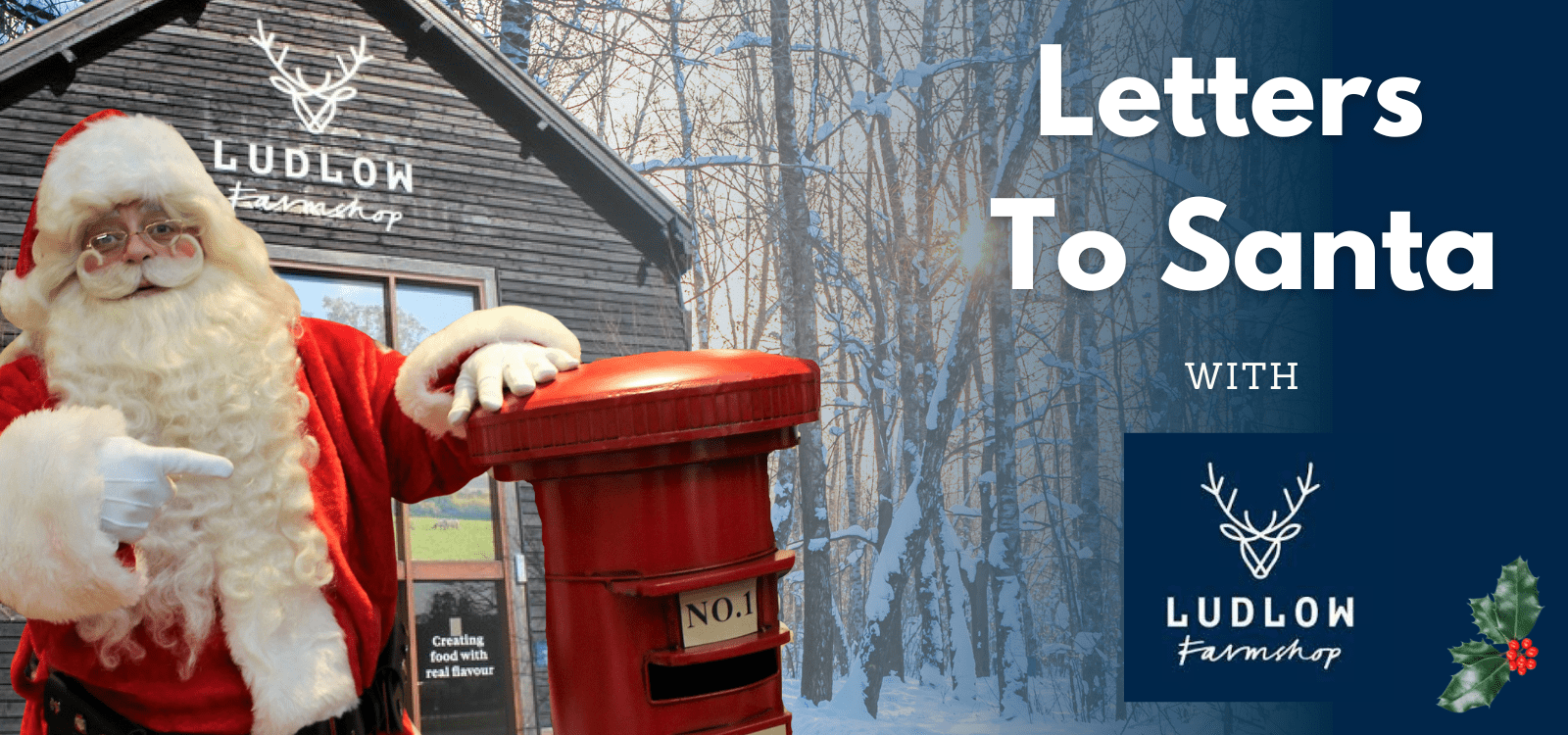 WIN Christmas Day lunch and a voucher to spend on toys from Ludlow