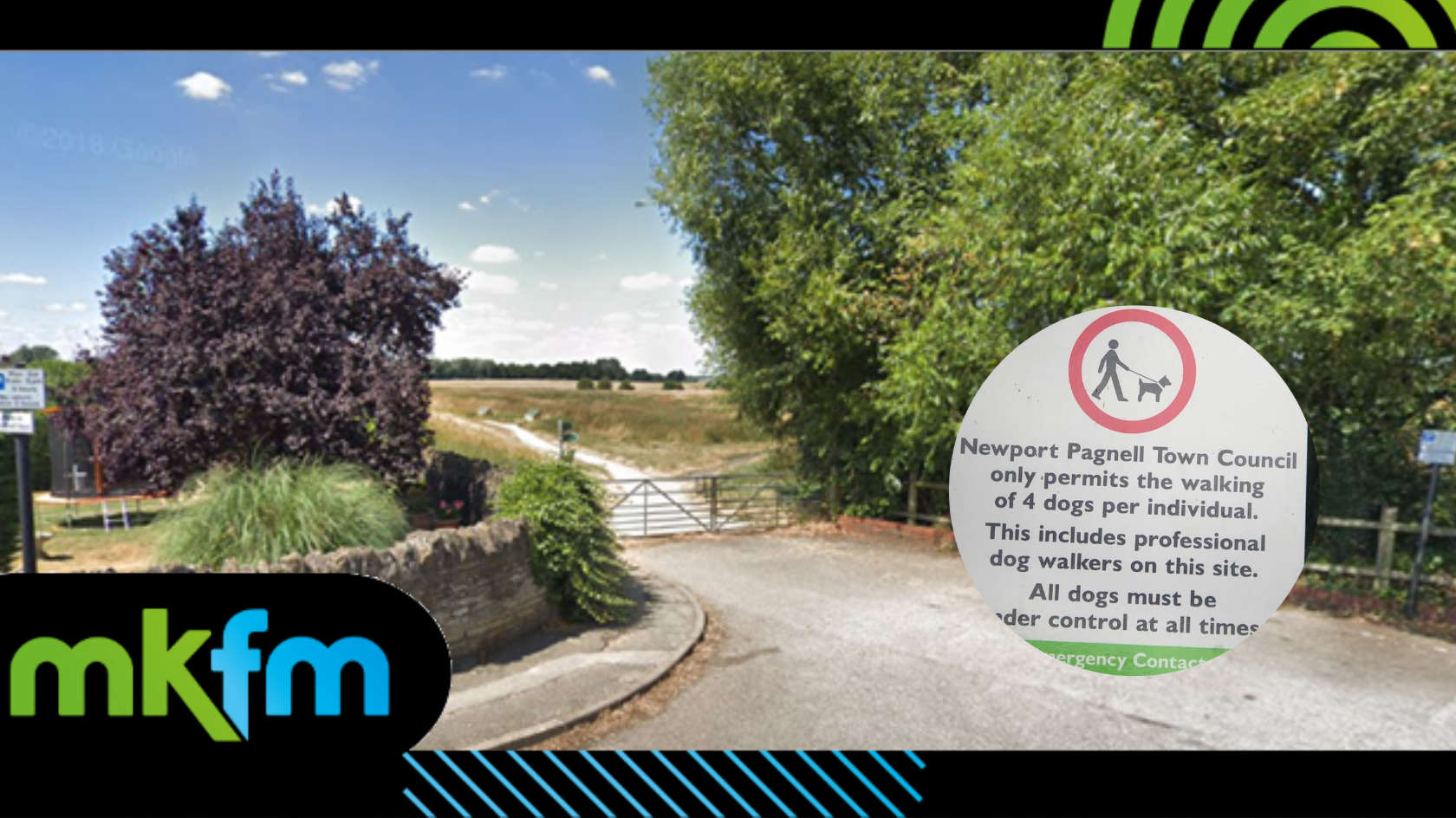 Dog walkers restricted to four dogs per person when out in Newport