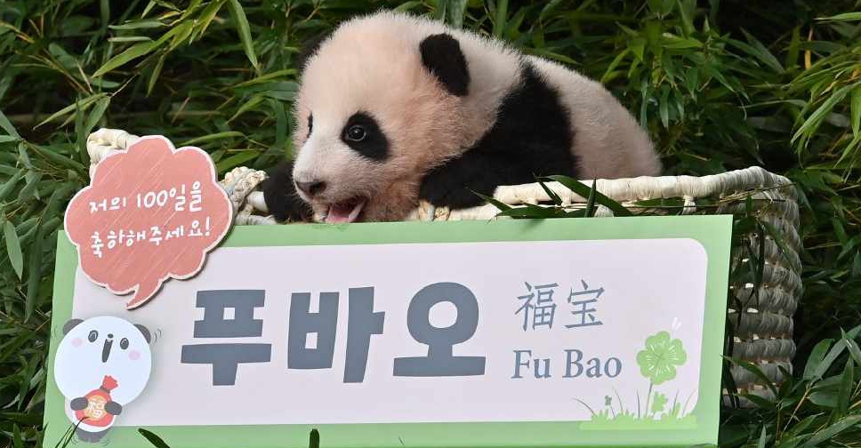 Lucky children greet Fu Bao, the first panda born in South Korea