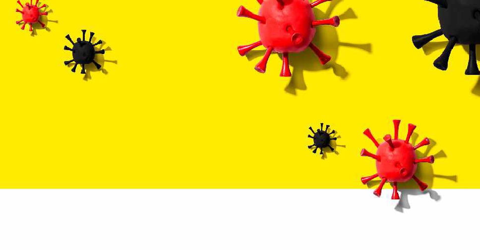 Germany declares two countries virusvariant zones Virgin Radio Dubai