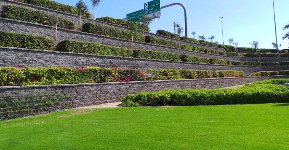 Dubai has 170,000 more trees Dubai Eye 103.8 News, Talk & Sports