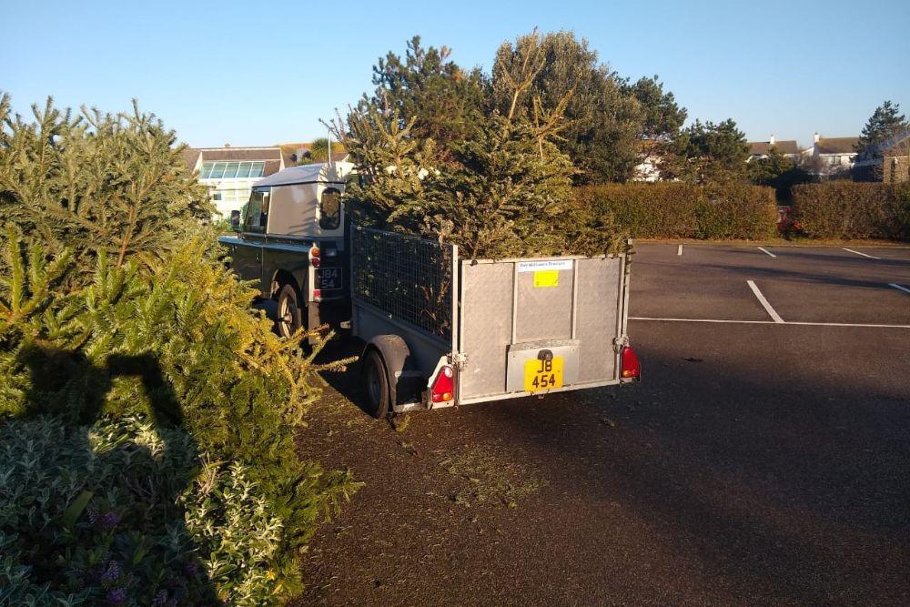 Christmas Tree Collection Raises £42K Channel 103