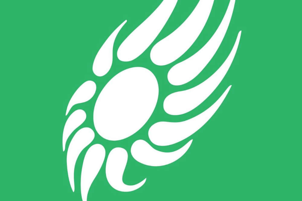 New Green Party Leader Announced Midlands 103