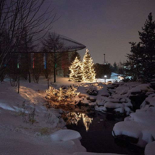 11/22/22 The Frederick Meijer Gardens Lights Up for Christmas WCSG