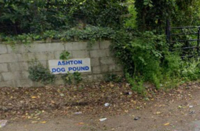 Five staff from Ashton Pound appear in court Dublin's FM104