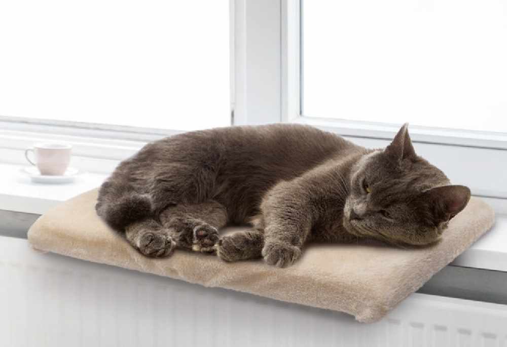 These adorable dog teepees and heated beds will be available in Lidl