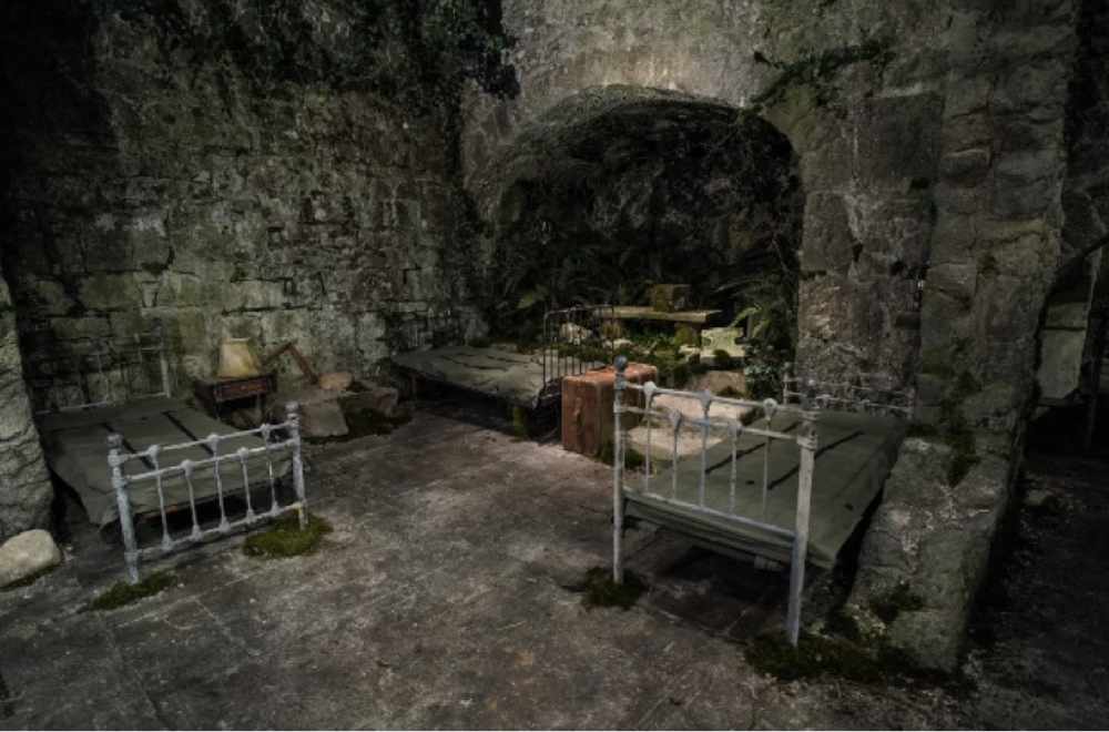 FIRST LOOK Inside the I'M A CELEB haunted Gwrych Castle C103