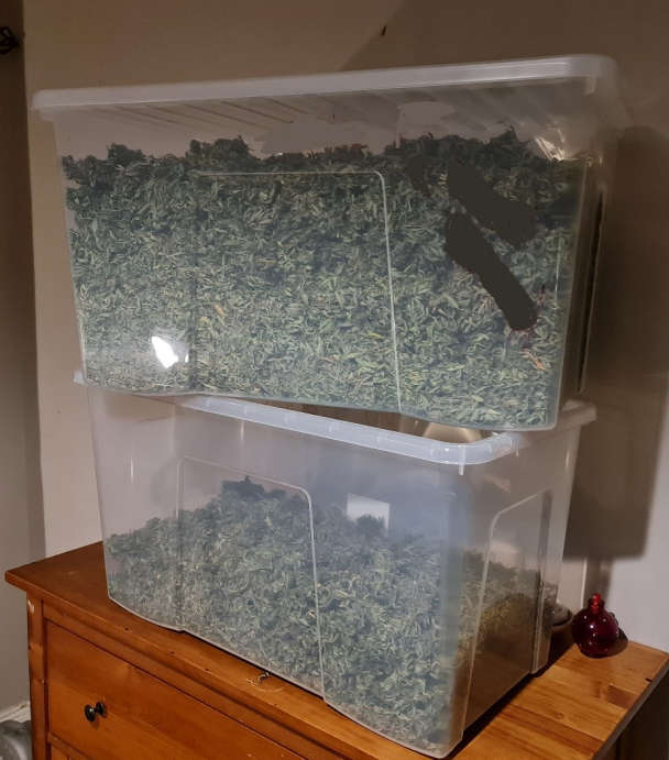 Significant drugs seizure in Limerick city Limerick's Live 95