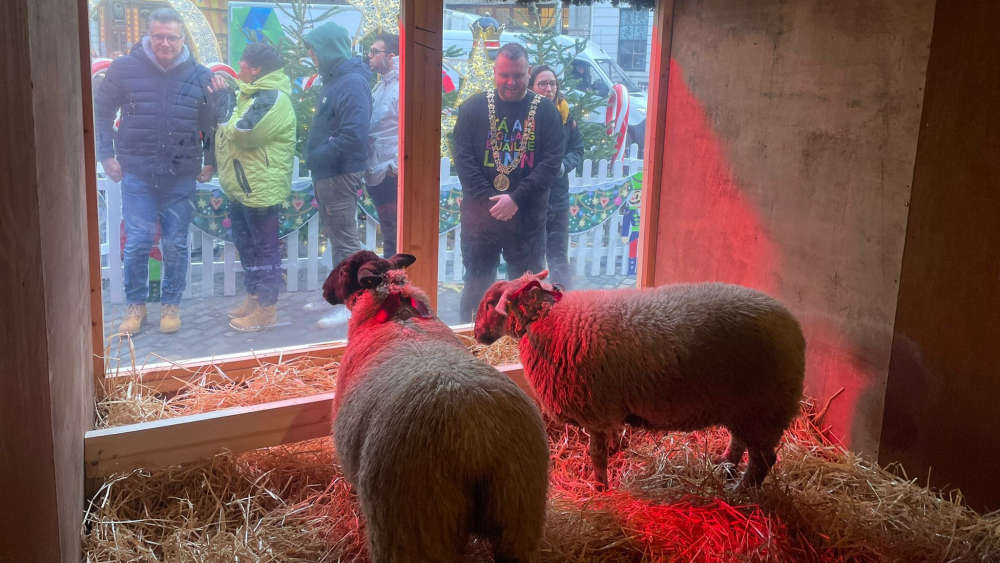 Live animal crib returns to Dublin's Mansion House Dublin's Q102