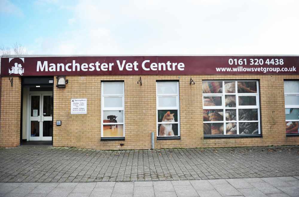 Haughton Green veterinary practice up for award Not Really Here Group