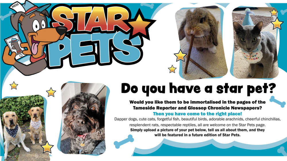 Star Pets Not Really Here Group Tameside Radio, Tameside Reporter