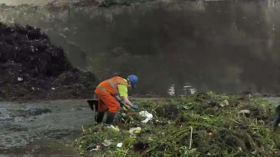 Recycling plan that could mean new bins and collections in Greater
