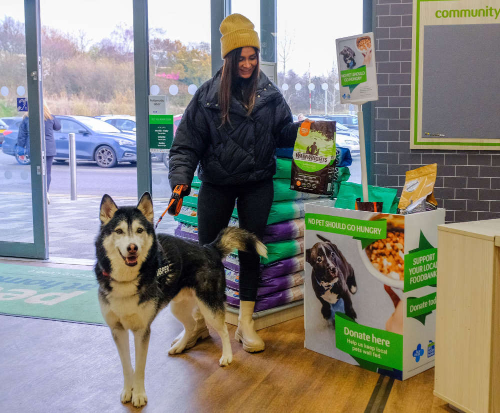 Pets at Home in Oldham launches pet food donation drive Not Really
