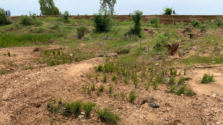 Flood Destroyed 2,790 Hectares of Farmland in Nguru LG Farmers