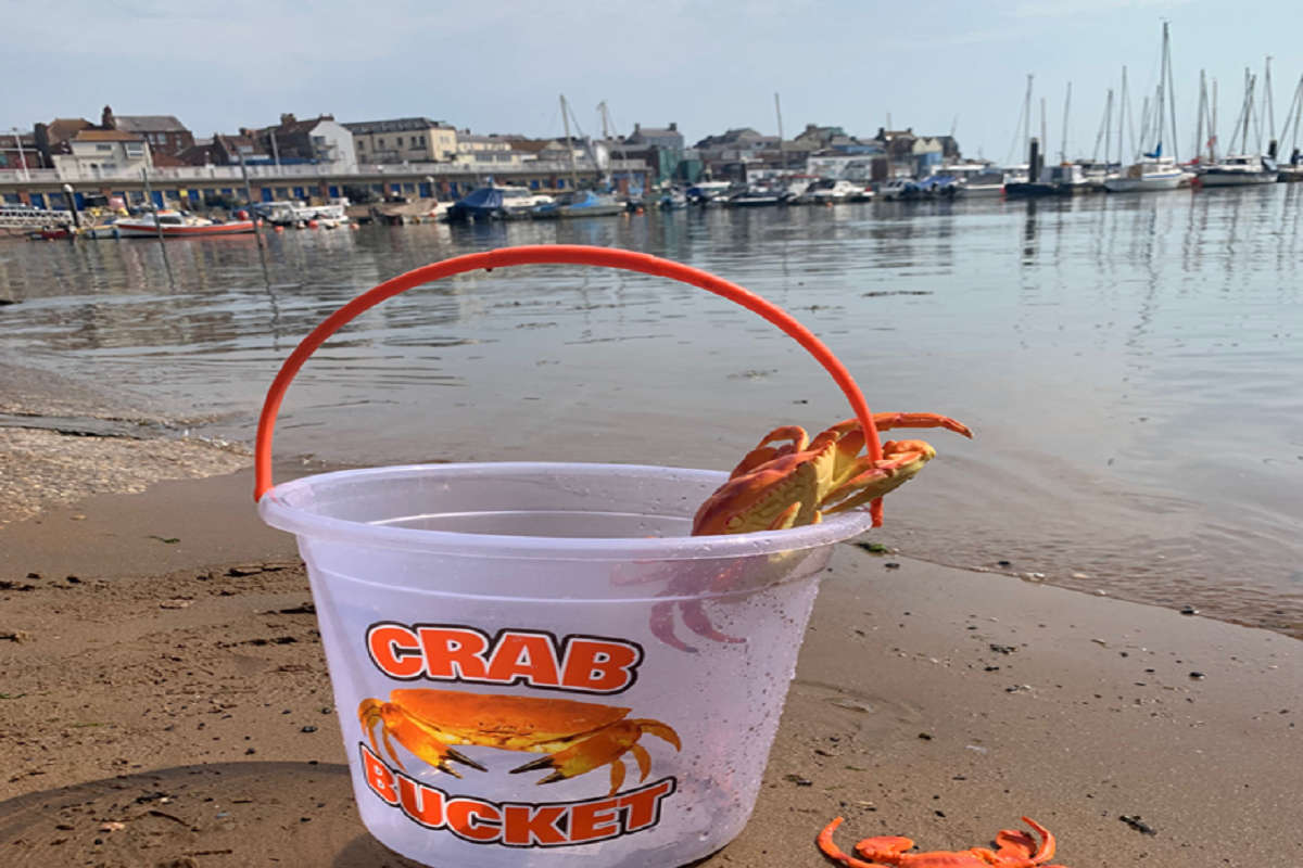 It'd Be Shellfish To Miss Brid Event This is the Coast