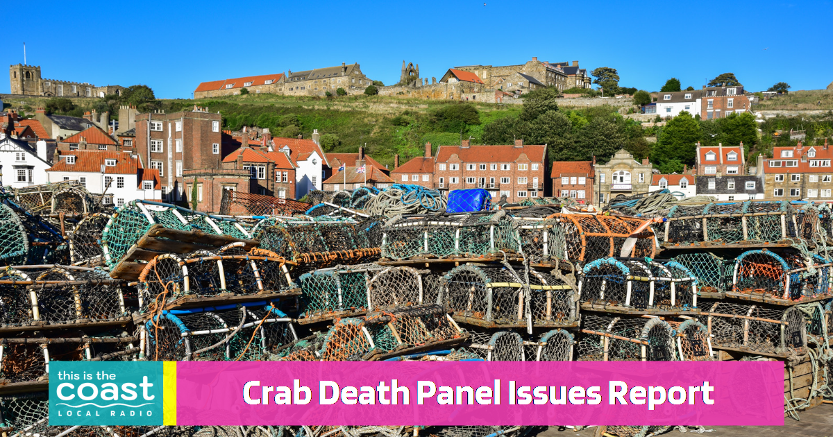 Pathogen Probably the Cause of Yorkshire Coast Crab Deaths This is