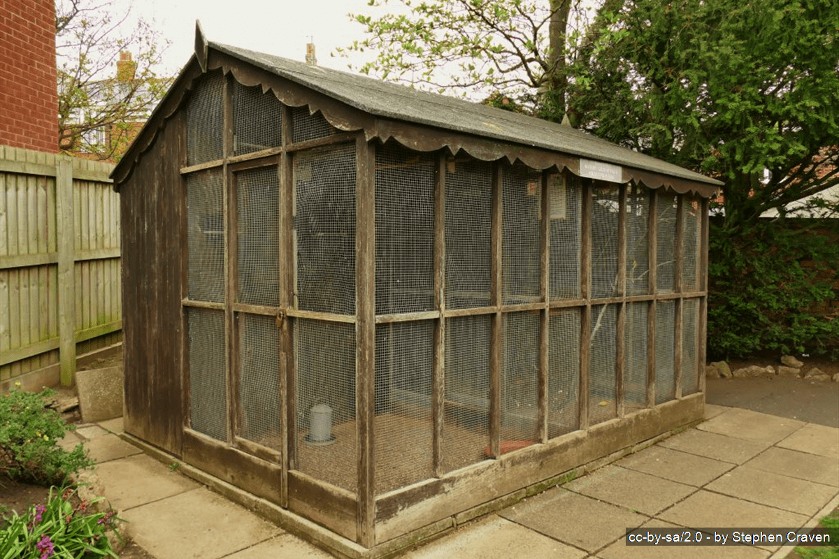 Filey Aviary to Go but Birds to Stay in the Town This is the Coast