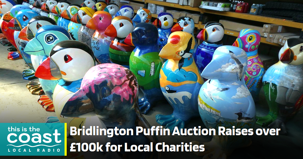 Bridlington Puffin Auction Raises over £100k for Local Charities This is the Coast