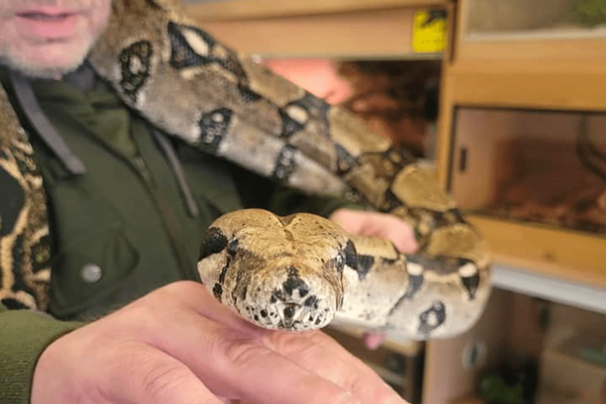 Reptile Rescue Centre Opens in Scarborough This is the Coast