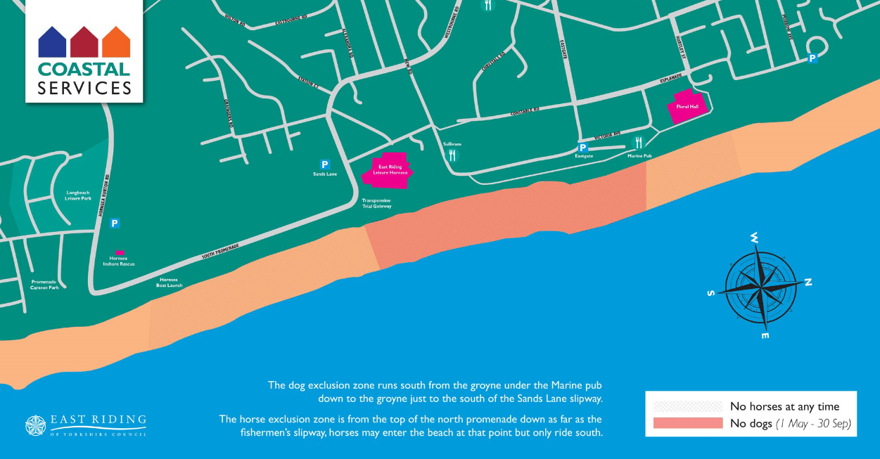 Dog Beach Bans Return to Bridlington, Hornsea and Withernsea This is