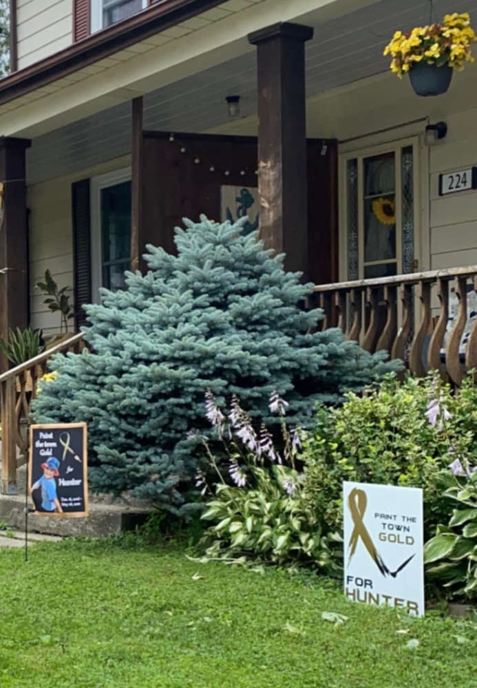 Paint the Town Gold for Hunter Weston and Ellis Roulston 104.7 Heart FM