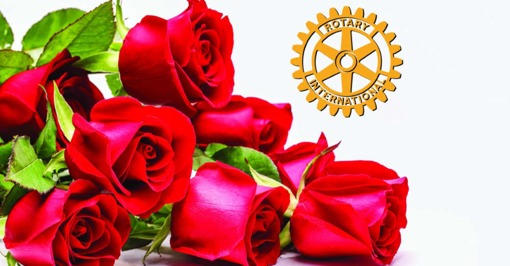 Rotary Roses Campaign Charity Fund Raiser 104.7 Heart FM