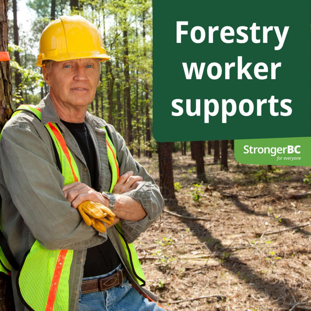 FEP Provides ShortTerm Employment Opportunities For Forestry