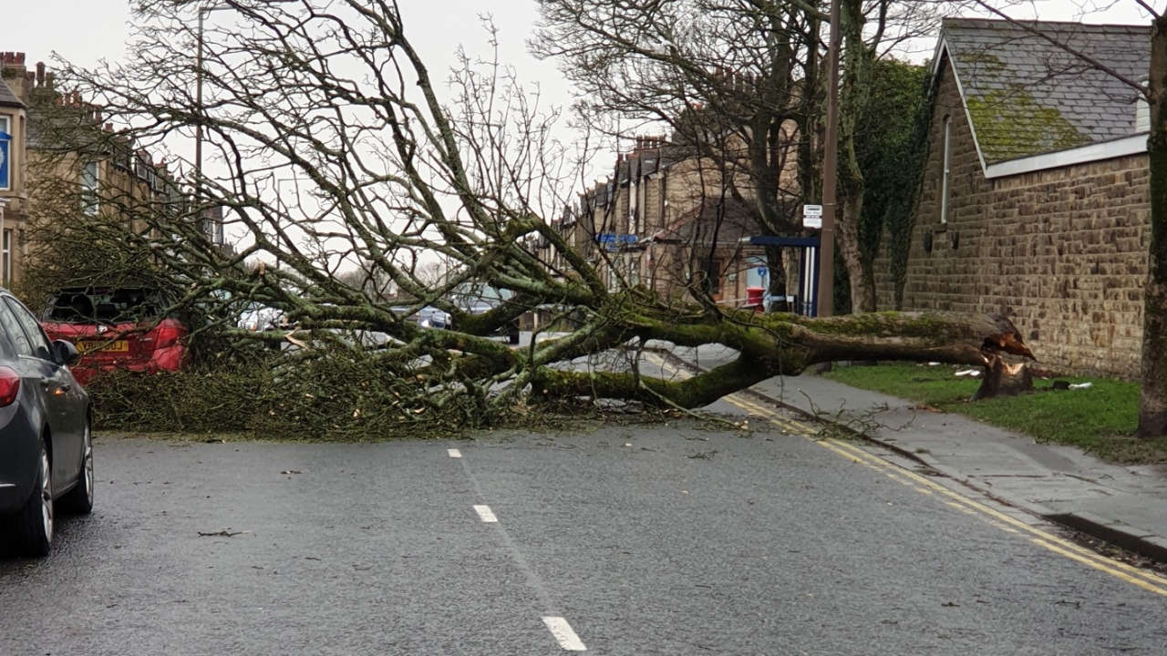 Damage as Storm Eunice wreaks havoc across district Beyond Radio