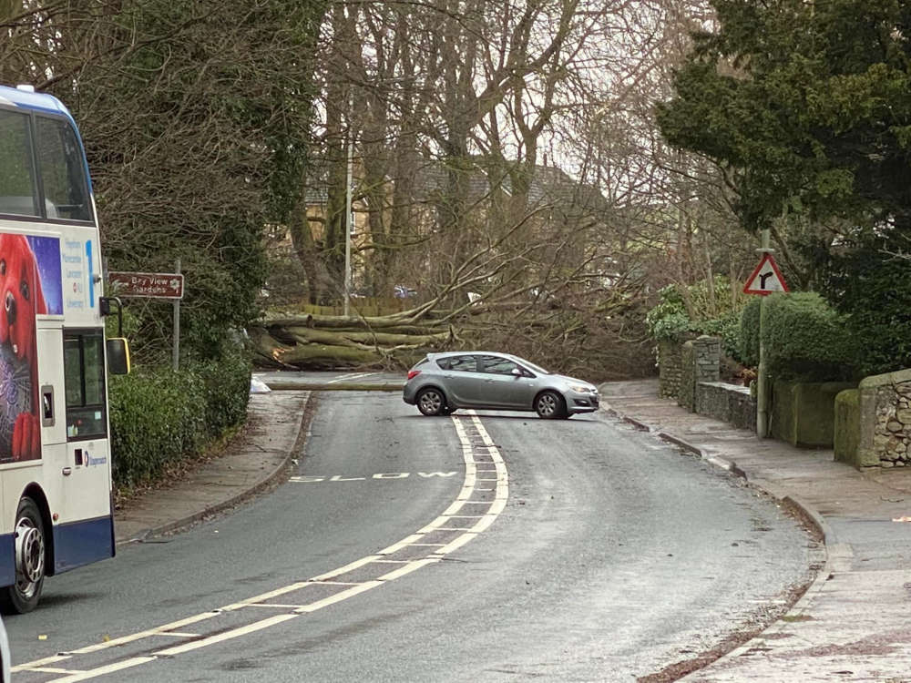 Damage as Storm Eunice wreaks havoc across district Beyond Radio