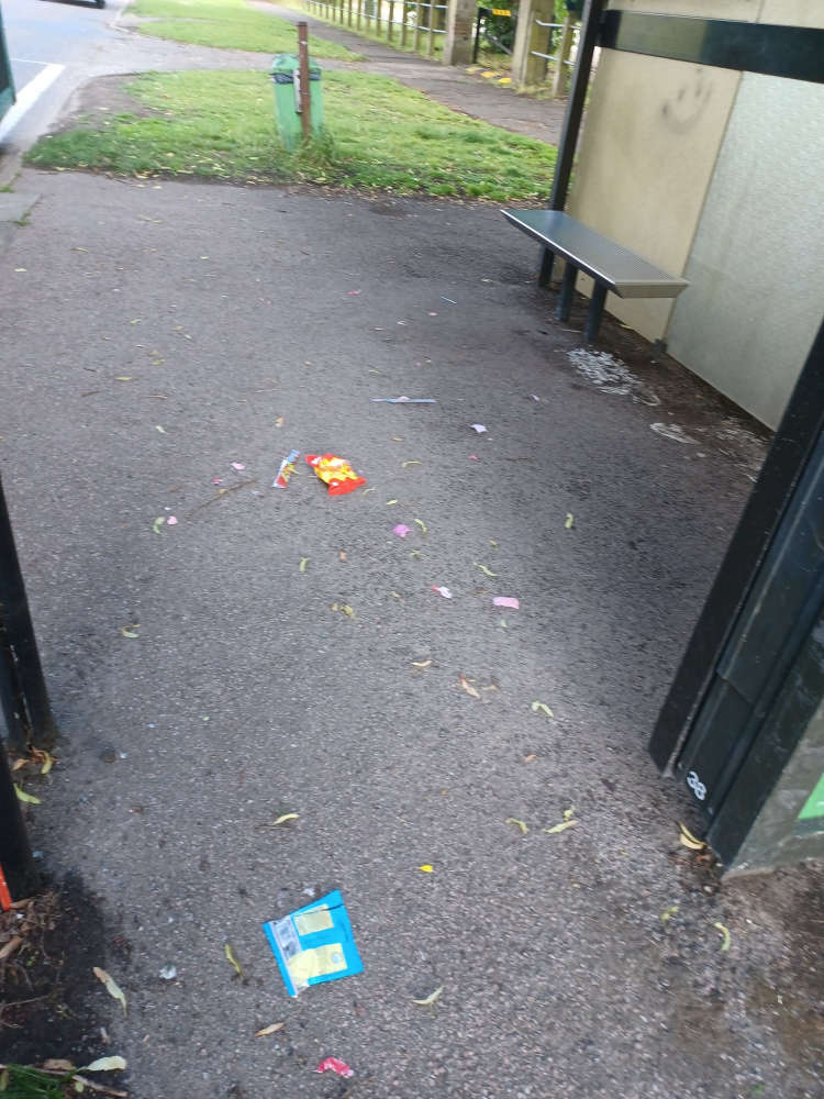 Aylesbury Wombles urge residents to use bins provided Bucks Radio