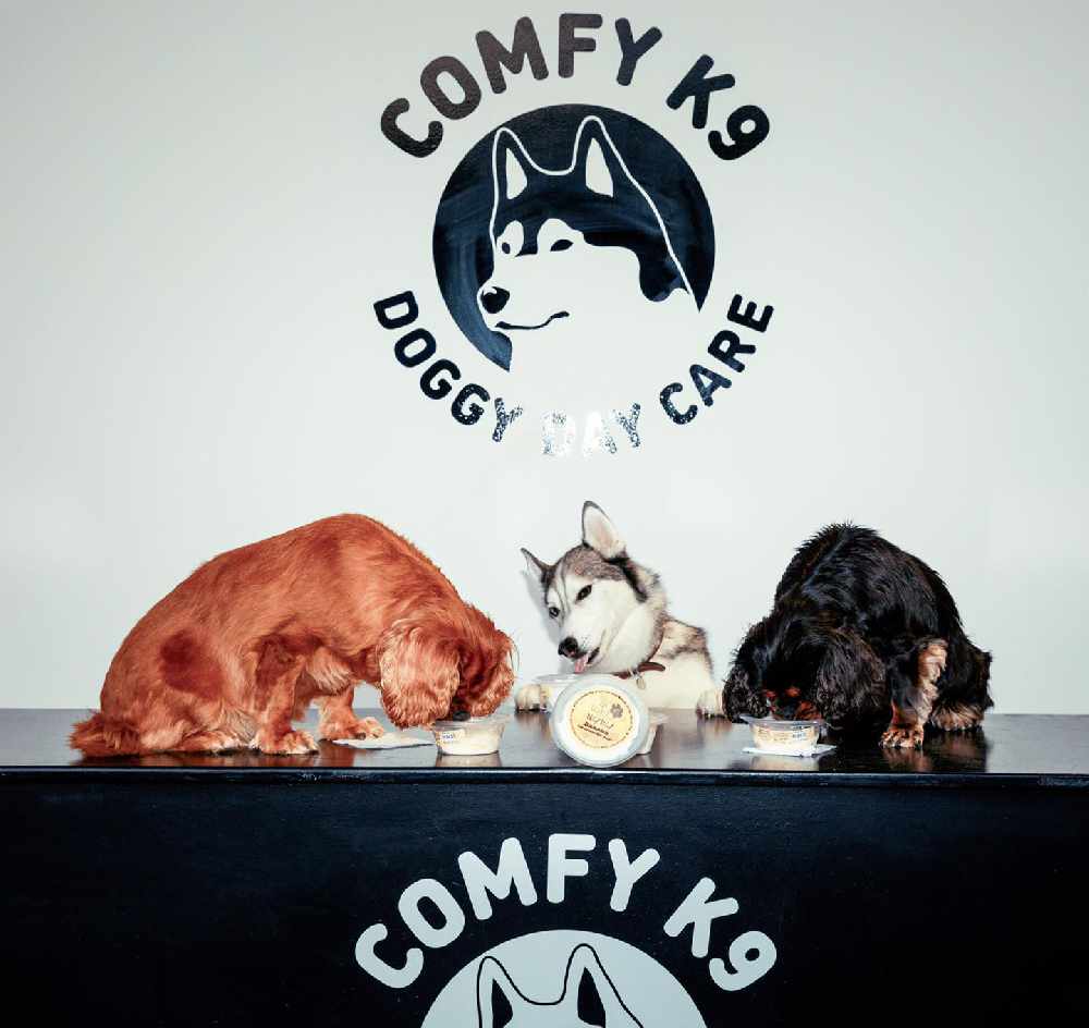 Isle of Gelato releases ice cream for Dogs! 3FM Isle of Man