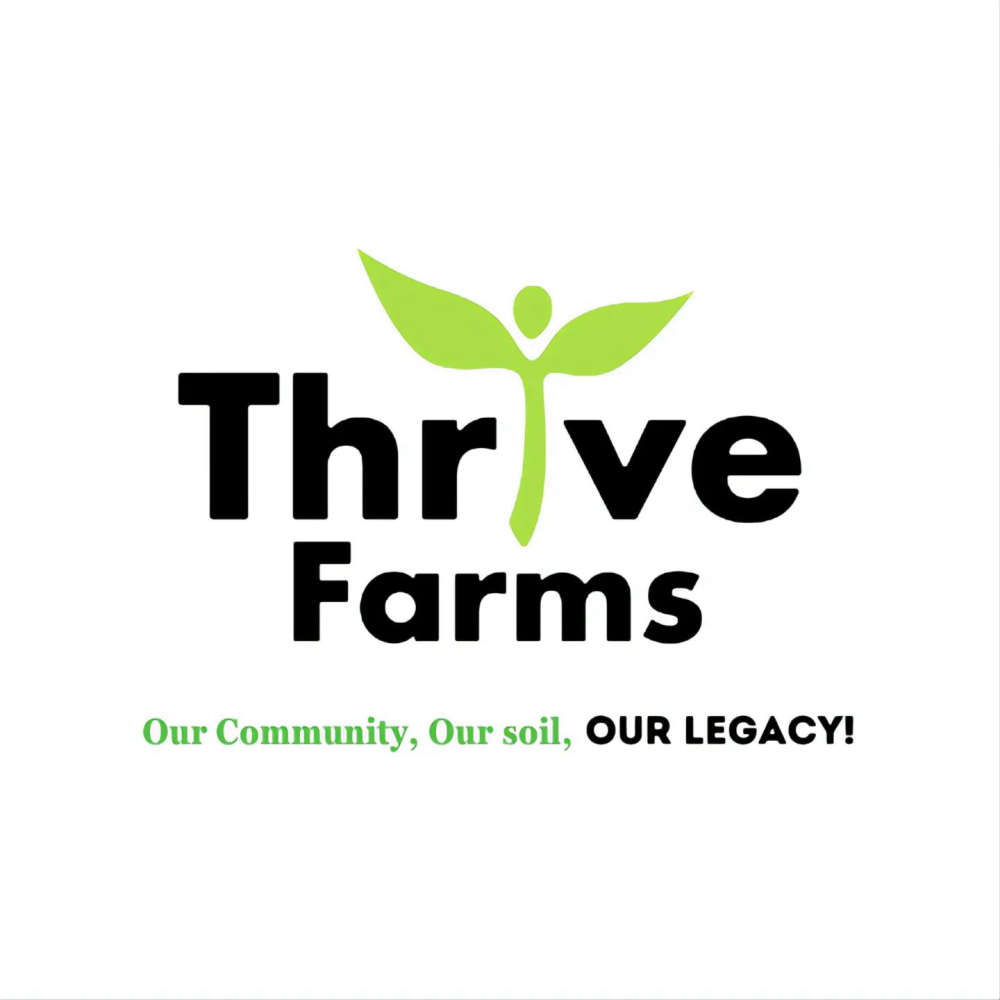 Seven new cases of COVID19 identified in the Isle of Man 3FM Isle of Man