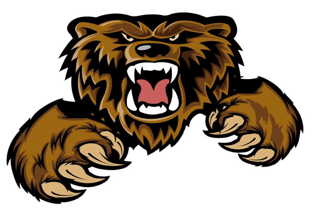 Galena Wins District Volleyball Title, Moves on to State Tournament