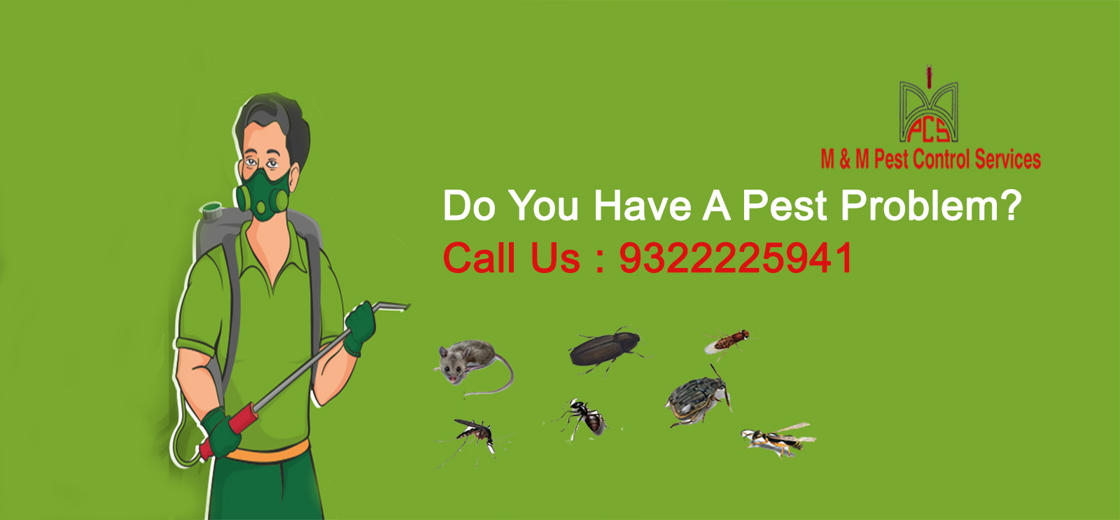 M&M Pest Control Services HerbalPest Control Service in Kalyan