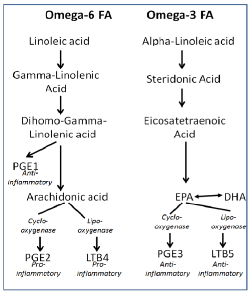 Revisiting Parenteral NutritionAssociated Liver Disease (PNALD