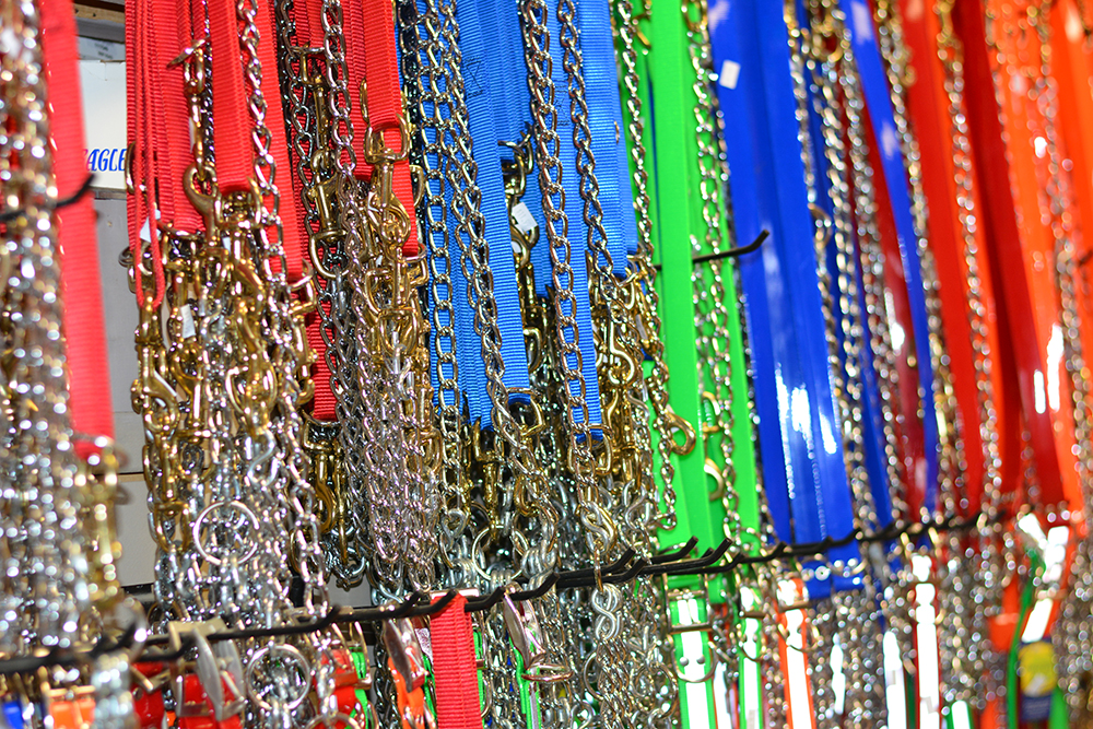 Dog Training & Supplies Elkins, WV Middle Mountain Sporting Goods