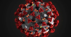 coronavirus