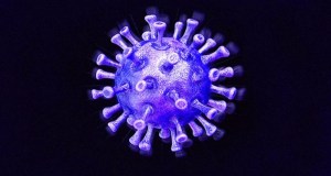 coronavirus