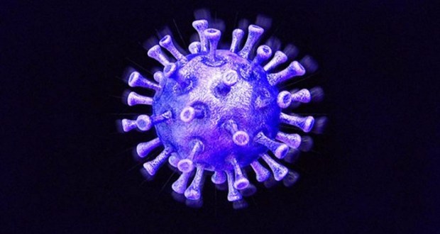 coronavirus