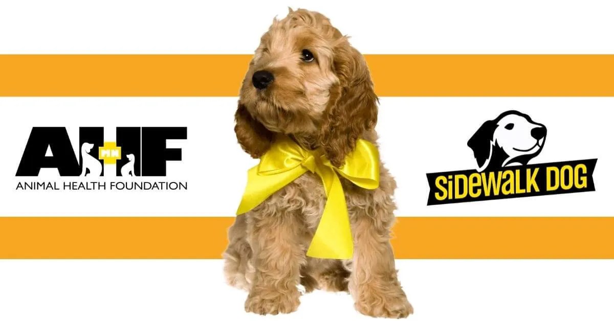 Yellow Ribbon Dog Minnesota Animal Health Foundation