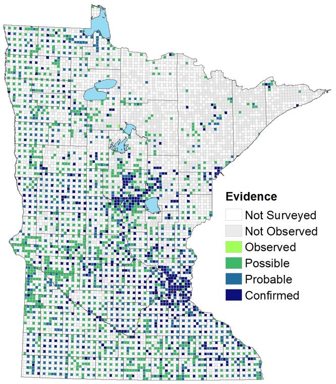 House Wren Minnesota Breeding Bird Atlas