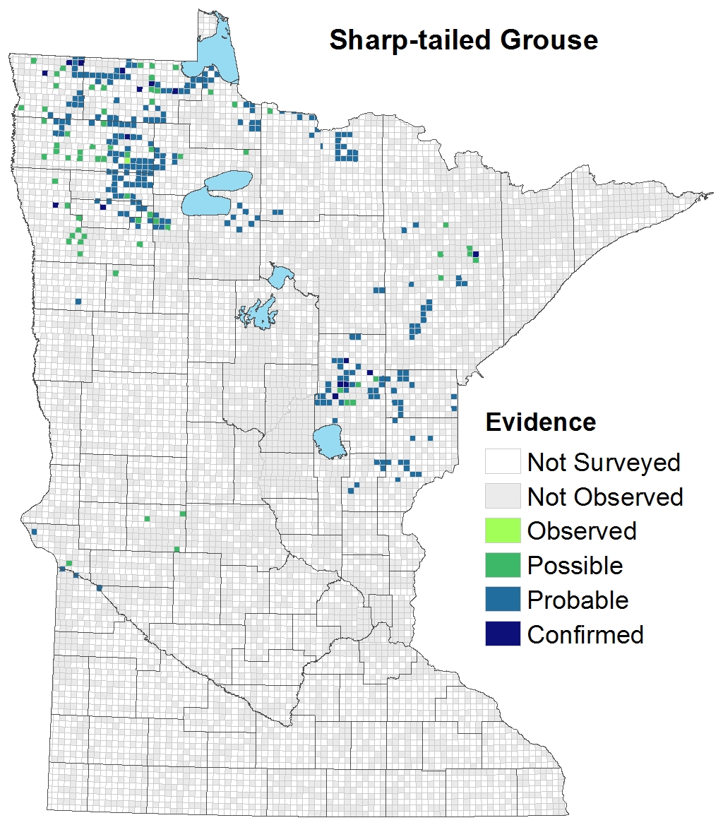 Minnesota Upland Gear and Accessories for MN Bird Hunting Season