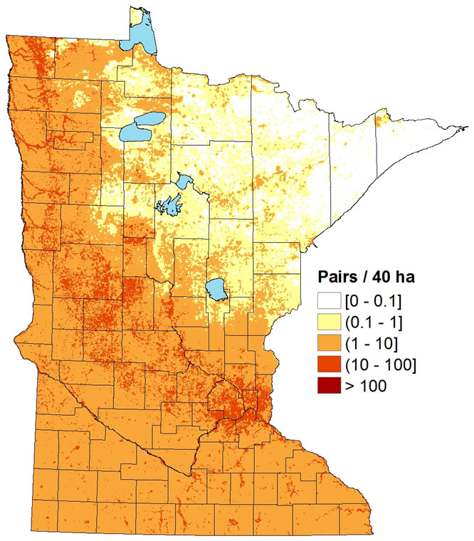 House Wren Minnesota Breeding Bird Atlas