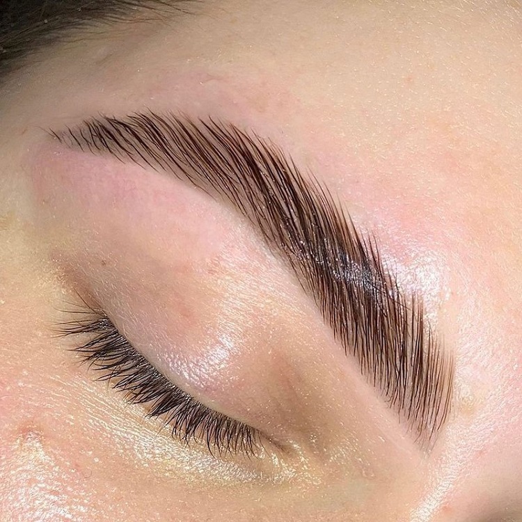 Brow Lamination Certification Minneapolis 9529380358