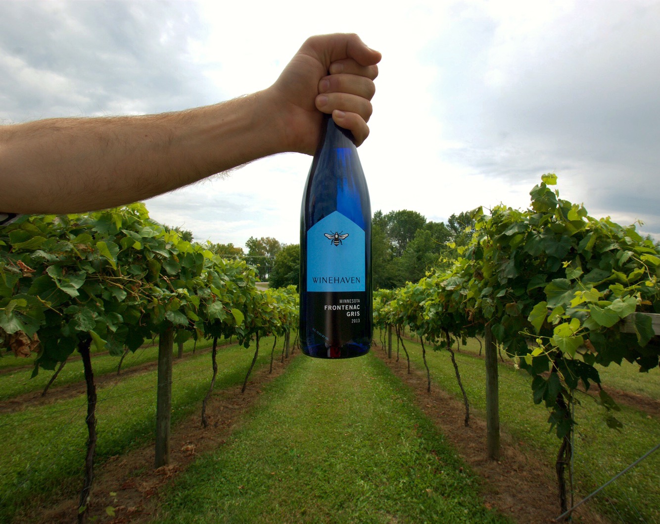 Winehaven Winery and Vineyard