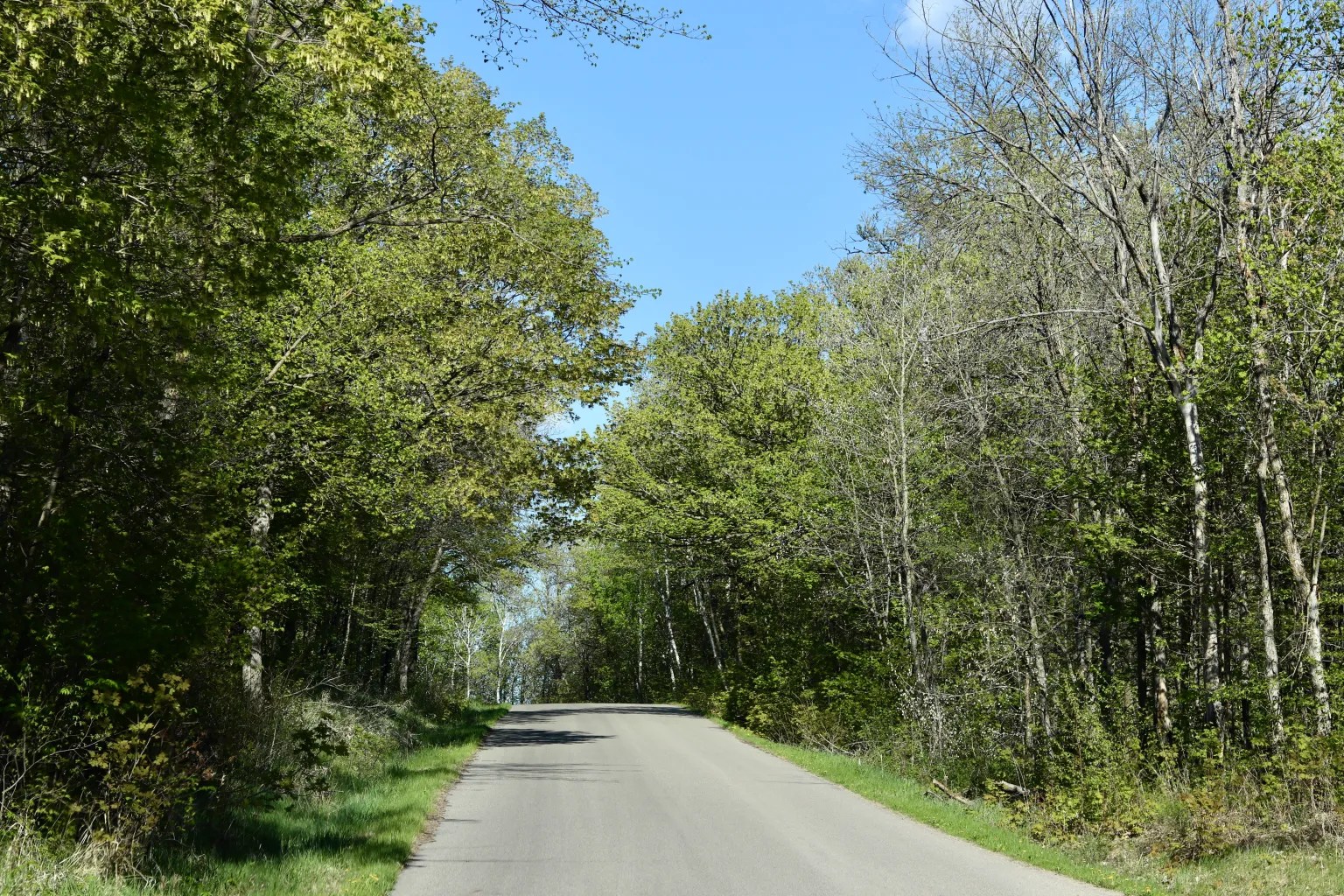 Maplewood State Park
